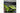 LEGO® Technic Lamborghini Sián FKP 37 (42115)