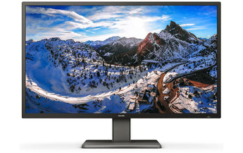 Philips Monitor 439P1/00 42.51 , 3840 x 2160 (Ultra HD 4K)