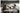 Shure Mikrofon MV7-X