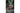 Casio Keyboard CT-S200RD Rot