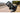 Tokina Festbrennweite SZ Super Tele 500 mm f/8 Reflex MF – X Mount