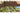 Flashpoint Minecraft Legends – Deluxe Edition