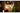 Philips Hue Festavia Lichterkette 40 m 500 LEDs CH