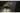 Electronic Arts WRC 23