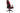 Trust Gaming-Stuhl GXT 714 RUYA Schwarz/Rot