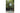 STT Tischleuchte Motion USB Luna, 23 LEDs, Ø 12 x 38 cm, Iceblue