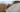 Sigma Festbrennweite 50 mm F/1.2 DG DN – Sony E-Mount