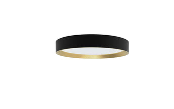Philips Deckenleuchte Hanno SceneSwitch 2700K, 2700 Lm, Schwarz-Gold