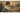 Capcom Monster Hunter Wilds (Box)