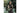 PGYTECH Kameratasche OneGo Drawstring Bag Forest