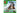 LEGO® Minecraft Die Spitzhackenmine 21277