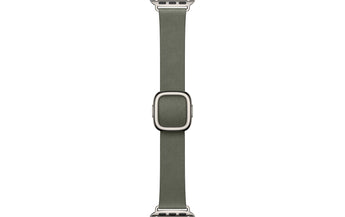 Apple Modern Buckle 42 mm Sage Gray Small