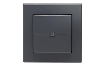 Homematic IP Wandtaster 2-fach Anthrazit