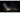 THQ Reanimal (Box)