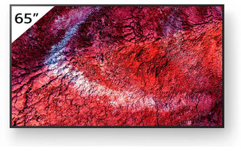 Sony Public Display FW-65BZ40PB 65