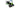 PNY GeForce RTX 5070 Slim OC 12 GB GDDR7 DLSS 4