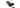 PNY GeForce RTX 5060 Ti Dual 8 GB GDDR7 PCI Express 5.0 x8