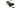PNY GeForce RTX 5060 Ti 8 GB Overclocked Dual Fan DLSS 4