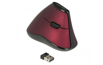 Delock Ergonomische Maus 12528 USB kabellos