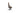noblechairs Gaming-Stuhl ICON Echtleder Cognac