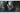 Sony Bloodborne (PlayStation Hits) (Box)
