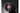 Laowa Festbrennweite 105 mm F/2 STF – Sony E-Mount