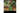 Blaze Evercade Toaplan Arcade 1 (Box)