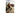 Electro-Voice Lautsprecher Everse 8 – Schwarz