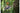 Sony Zoomobjektiv FE 70–200 mm F/4 Makro G OSS Ⅱ Sony E-Mount