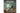 Logitech Pebble Keys 2 K380s Multi-Device-Tastatur Graphit