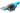 BLACK+DECKER Akku-Handsauger NVD215J-QW Schwarz/Hellblau