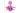 Kong CuteSeas Tintenfisch, 35 cm, rosa