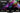 Panasonic TV TV-65Z85AEK 65, 3840 x 2160 (Ultra HD 4K), OLED