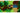 Nintendo The Legend of Zelda: Echoes of Wisdom