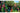Nintendo Donkey Kong Country Returns HD