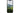 dbramante1928 Back Cover Greenland Pro iPhone 16 Pro Night Black