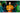 Samsung Public Display QH98C 98