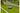 GARDENA Mähroboter Smart Sileno Free 1200 1200 m²