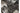 Haier Heissluft-Fritteuse HAF5TWA3 021 7 l