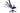 Trust Gaming-Stuhl GXT 714 Ruya Blau