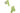 Skullcandy True Wireless In-Ear-Kopfhörer Smokin Buds Grün