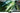 Samsung TV QE98QN90D ATXXN 98, 3840 x 2160 (Ultra HD 4K), Neo QLED