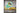 Arlo Essential 3 HD Innen (2er Set)