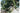 Skullcandy Wireless Over-Ear-Kopfhörer Hesh 360 Bone White