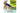 World Fitness Fitnessmatte Yamuna 183 cm x 61 cm, Türkis