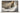 ASUS Zenbook A16 UX3607OA-SQ042W Copilot+ PC