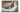 ASUS Zenbook A16 UX3607QA-SH056W