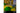 Blaze Evercade Nexus & Banjo Kazooie Double Pack (DE,EN,FR,IT,ES)