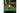 Blaze Evercade Nexus & Banjo Kazooie Double Pack (DE,EN,FR,IT,ES)