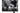 iiyama Monitor G-MASTER GOB2701QSC-B1